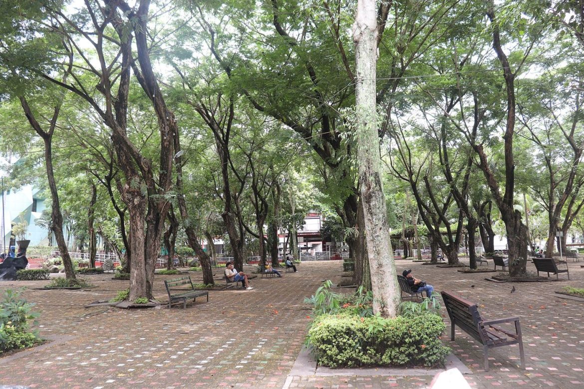 People rest in the shade of trees during a hot summer day in the city.